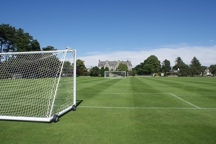 Football Grass Types: What is used on professional pitches? 1 Football grass types