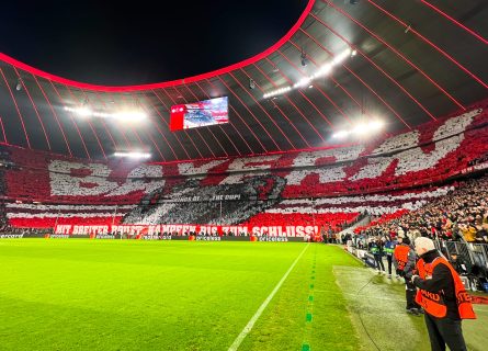 Bayern Munich stadium tour: How to visit unique Allianz Arena
