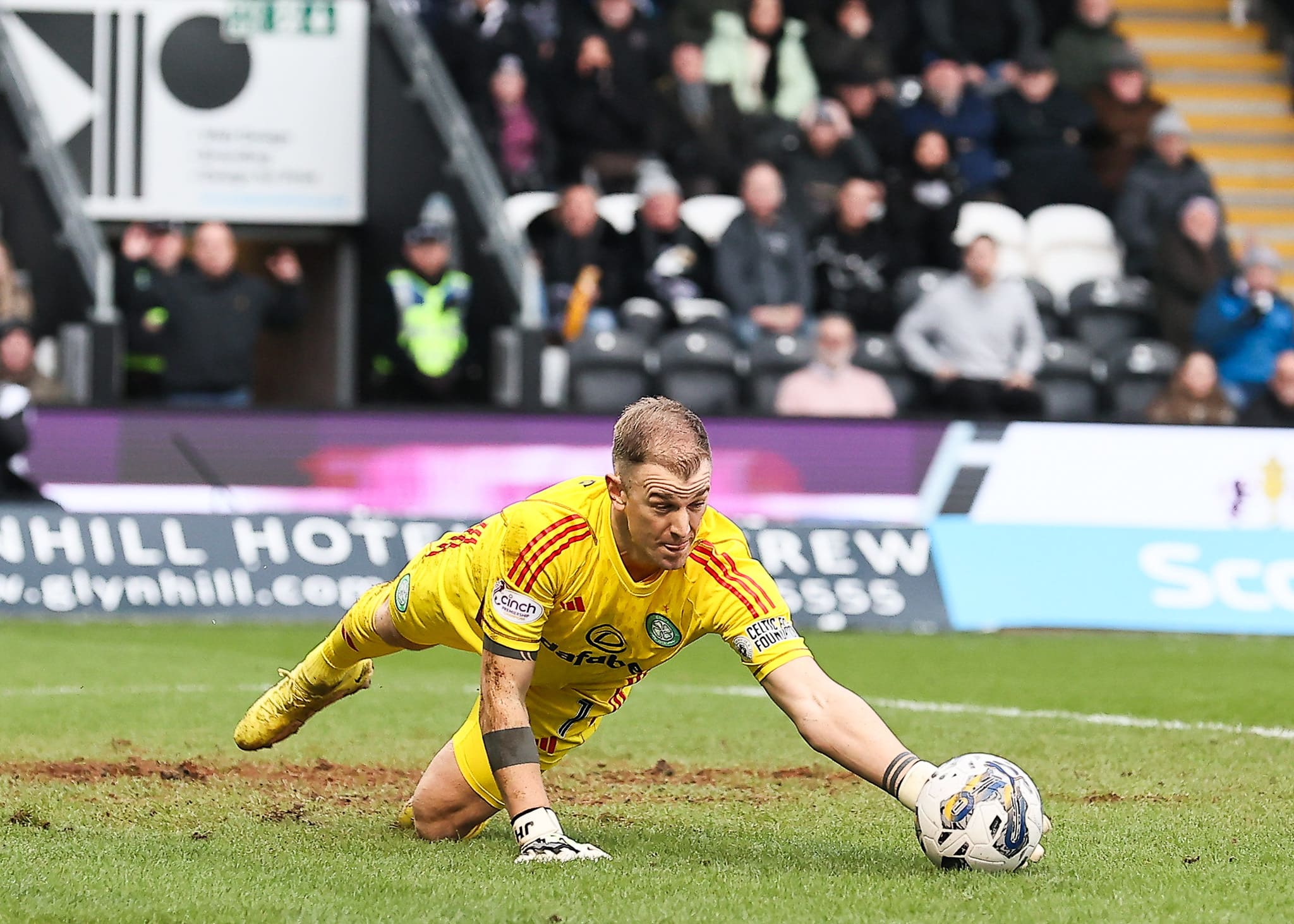 Icon sipausa 51184637