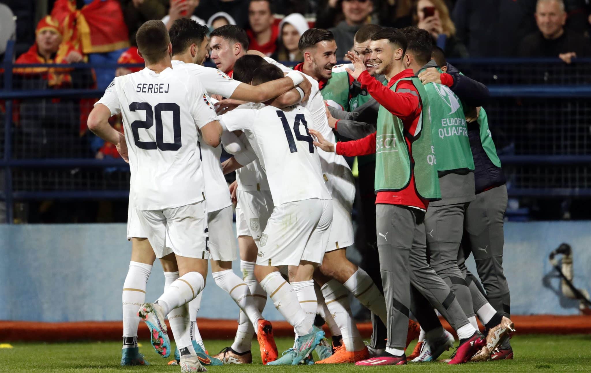 Serbia fans at Euro 2024