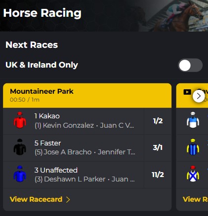 priced-up-horse-racing-odds
